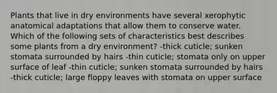 Plants that live in dry environments have several xerophytic anatomical adaptations that allow them to conserve water. Which of the following sets of characteristics best describes some plants from a dry environment? -thick cuticle; sunken stomata surrounded by hairs -thin cuticle; stomata only on upper surface of leaf -thin cuticle; sunken stomata surrounded by hairs -thick cuticle; large floppy leaves with stomata on upper surface