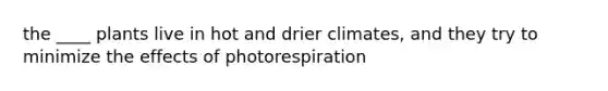 the ____ plants live in hot and drier climates, and they try to minimize the effects of photorespiration