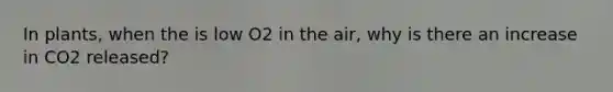 In plants, when the is low O2 in the air, why is there an increase in CO2 released?