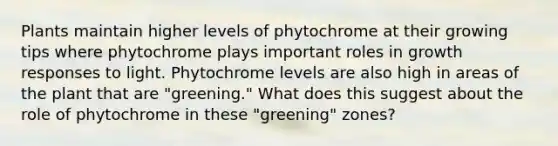 Plants maintain higher levels of phytochrome at their growing tips where phytochrome plays important roles in growth responses to light. Phytochrome levels are also high in areas of the plant that are "greening." What does this suggest about the role of phytochrome in these "greening" zones?