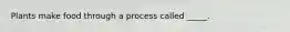 Plants make food through a process called _____.