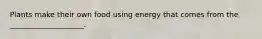 Plants make their own food using energy that comes from the ____________________.