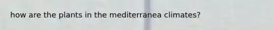 how are the plants in the mediterranea climates?
