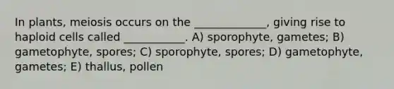 In plants, meiosis occurs on the _____________, giving rise to haploid cells called ___________. A) sporophyte, gametes; B) gametophyte, spores; C) sporophyte, spores; D) gametophyte, gametes; E) thallus, pollen