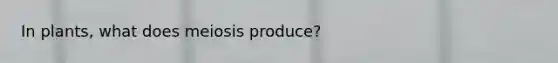 In plants, what does meiosis produce?