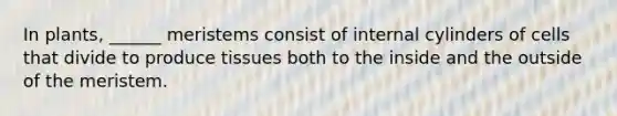 In plants, ______ meristems consist of internal cylinders of cells that divide to produce tissues both to the inside and the outside of the meristem.