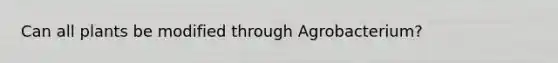 Can all plants be modified through Agrobacterium?