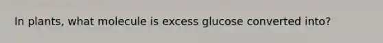 In plants, what molecule is excess glucose converted into?