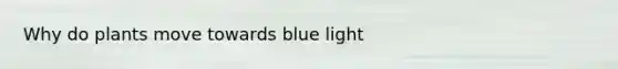 Why do plants move towards blue light