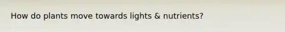 How do plants move towards lights & nutrients?