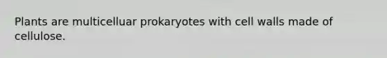 Plants are multicelluar prokaryotes with cell walls made of cellulose.