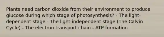 Plants need carbon dioxide from their environment to produce glucose during which stage of photosynthesis? - The light-dependent stage - The light-independent stage (The Calvin Cycle) - <a href='https://www.questionai.com/knowledge/k57oGBr0HP-the-electron-transport-chain' class='anchor-knowledge'>the electron transport chain</a> - ATP formation