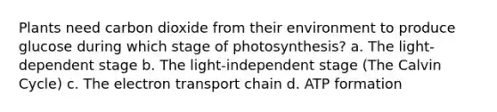 Plants need carbon dioxide from their environment to produce glucose during which stage of photosynthesis? a. The light-dependent stage b. The light-independent stage (The Calvin Cycle) c. The electron transport chain d. ATP formation