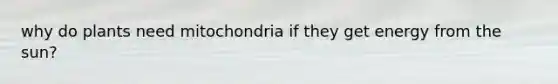 why do plants need mitochondria if they get energy from the sun?