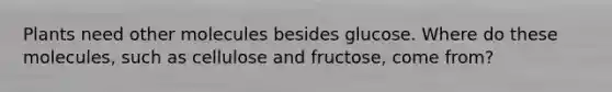 Plants need other molecules besides glucose. Where do these molecules, such as cellulose and fructose, come from?