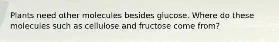 Plants need other molecules besides glucose. Where do these molecules such as cellulose and fructose come from?