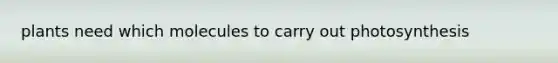 plants need which molecules to carry out photosynthesis