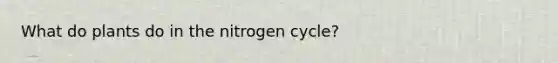 What do plants do in the nitrogen cycle?