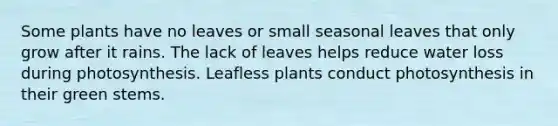 Some plants have no leaves or small seasonal leaves that only grow after it rains. The lack of leaves helps reduce water loss during photosynthesis. Leafless plants conduct photosynthesis in their green stems.