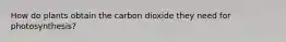 How do plants obtain the carbon dioxide they need for photosynthesis?