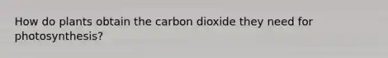 How do plants obtain the carbon dioxide they need for photosynthesis?