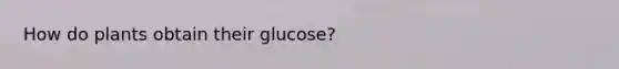 How do plants obtain their glucose?