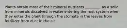 Plants obtain most of their mineral nutrients ________. as a solid from minerals dissolved in water entering the root system when they enter the plant through the stomata in the leaves from fertilizer from dust in the air