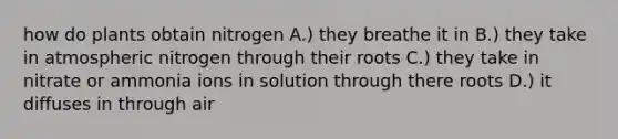 how do plants obtain nitrogen A.) they breathe it in B.) they take in atmospheric nitrogen through their roots C.) they take in nitrate or ammonia ions in solution through there roots D.) it diffuses in through air