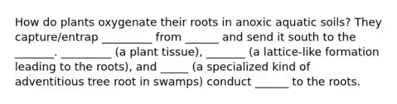 How do plants oxygenate their roots in anoxic aquatic soils? They capture/entrap _________ from ______ and send it south to the _______. _________ (a plant tissue), _______ (a lattice-like formation leading to the roots), and _____ (a specialized kind of adventitious tree root in swamps) conduct ______ to the roots.