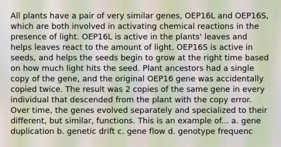 All plants have a pair of very similar genes, OEP16L and OEP16S, which are both involved in activating chemical reactions in the presence of light. OEP16L is active in the plants' leaves and helps leaves react to the amount of light. OEP16S is active in seeds, and helps the seeds begin to grow at the right time based on how much light hits the seed. Plant ancestors had a single copy of the gene, and the original OEP16 gene was accidentally copied twice. The result was 2 copies of the same gene in every individual that descended from the plant with the copy error. Over time, the genes evolved separately and specialized to their different, but similar, functions. This is an example of... a. gene duplication b. genetic drift c. gene flow d. genotype frequenc