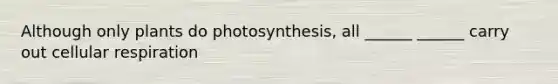 Although only plants do photosynthesis, all ______ ______ carry out <a href='https://www.questionai.com/knowledge/k1IqNYBAJw-cellular-respiration' class='anchor-knowledge'>cellular respiration</a>