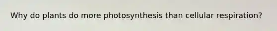 Why do plants do more photosynthesis than cellular respiration?