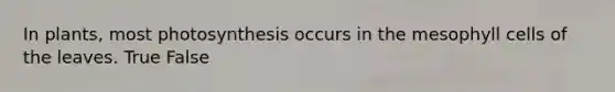 In plants, most photosynthesis occurs in the mesophyll cells of the leaves. True False