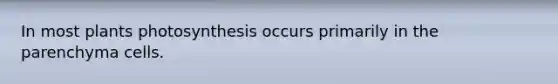 In most plants photosynthesis occurs primarily in the parenchyma cells.