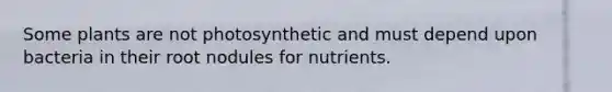 Some plants are not photosynthetic and must depend upon bacteria in their root nodules for nutrients.