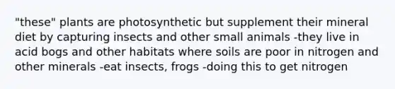 "these" plants are photosynthetic but supplement their mineral diet by capturing insects and other small animals -they live in acid bogs and other habitats where soils are poor in nitrogen and other minerals -eat insects, frogs -doing this to get nitrogen