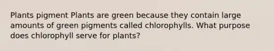 Plants pigment Plants are green because they contain large amounts of green pigments called chlorophylls. What purpose does chlorophyll serve for plants?