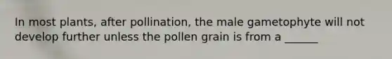 In most plants, after pollination, the male gametophyte will not develop further unless the pollen grain is from a ______