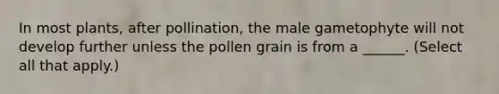 In most plants, after pollination, the male gametophyte will not develop further unless the pollen grain is from a ______. (Select all that apply.)