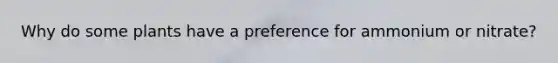 Why do some plants have a preference for ammonium or nitrate?