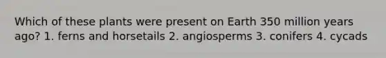 Which of these plants were present on Earth 350 million years ago? 1. ferns and horsetails 2. angiosperms 3. conifers 4. cycads