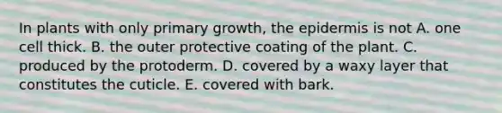 In plants with only primary growth, the epidermis is not A. one cell thick. B. the outer protective coating of the plant. C. produced by the protoderm. D. covered by a waxy layer that constitutes the cuticle. E. covered with bark.