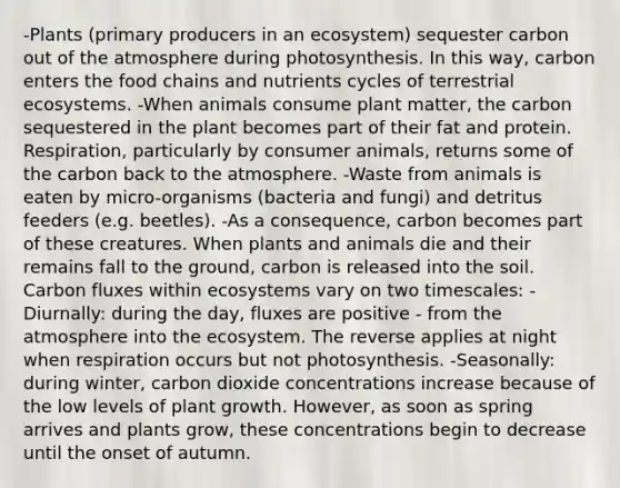 -Plants (primary producers in an ecosystem) sequester carbon out of the atmosphere during photosynthesis. In this way, carbon enters the food chains and nutrients cycles of terrestrial ecosystems. -When animals consume plant matter, the carbon sequestered in the plant becomes part of their fat and protein. Respiration, particularly by consumer animals, returns some of the carbon back to the atmosphere. -Waste from animals is eaten by micro-organisms (bacteria and fungi) and detritus feeders (e.g. beetles). -As a consequence, carbon becomes part of these creatures. When plants and animals die and their remains fall to the ground, carbon is released into the soil. Carbon fluxes within ecosystems vary on two timescales: -Diurnally: during the day, fluxes are positive - from the atmosphere into <a href='https://www.questionai.com/knowledge/k49x5J3j3W-the-ecosystem' class='anchor-knowledge'>the ecosystem</a>. The reverse applies at night when respiration occurs but not photosynthesis. -Seasonally: during winter, carbon dioxide concentrations increase because of the low levels of plant growth. However, as soon as spring arrives and plants grow, these concentrations begin to decrease until the onset of autumn.