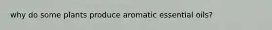 why do some plants produce aromatic essential oils?