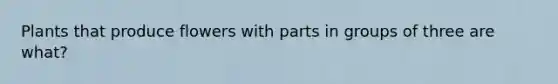 Plants that produce flowers with parts in groups of three are what?