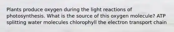 Plants produce oxygen during the light reactions of photosynthesis. What is the source of this oxygen molecule? ATP splitting water molecules chlorophyll the electron transport chain