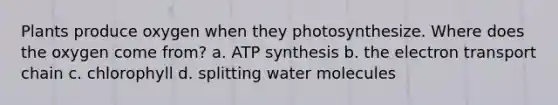 Plants produce oxygen when they photosynthesize. Where does the oxygen come from? a. ATP synthesis b. the electron transport chain c. chlorophyll d. splitting water molecules