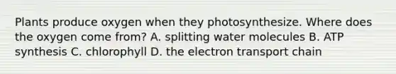 Plants produce oxygen when they photosynthesize. Where does the oxygen come from? A. splitting water molecules B. <a href='https://www.questionai.com/knowledge/kx3XpCJrFz-atp-synthesis' class='anchor-knowledge'>atp synthesis</a> C. chlorophyll D. <a href='https://www.questionai.com/knowledge/k57oGBr0HP-the-electron-transport-chain' class='anchor-knowledge'>the electron transport chain</a>