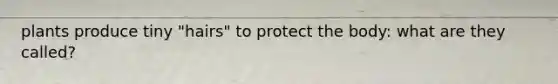 plants produce tiny "hairs" to protect the body: what are they called?