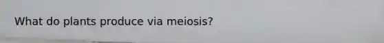 What do plants produce via meiosis?